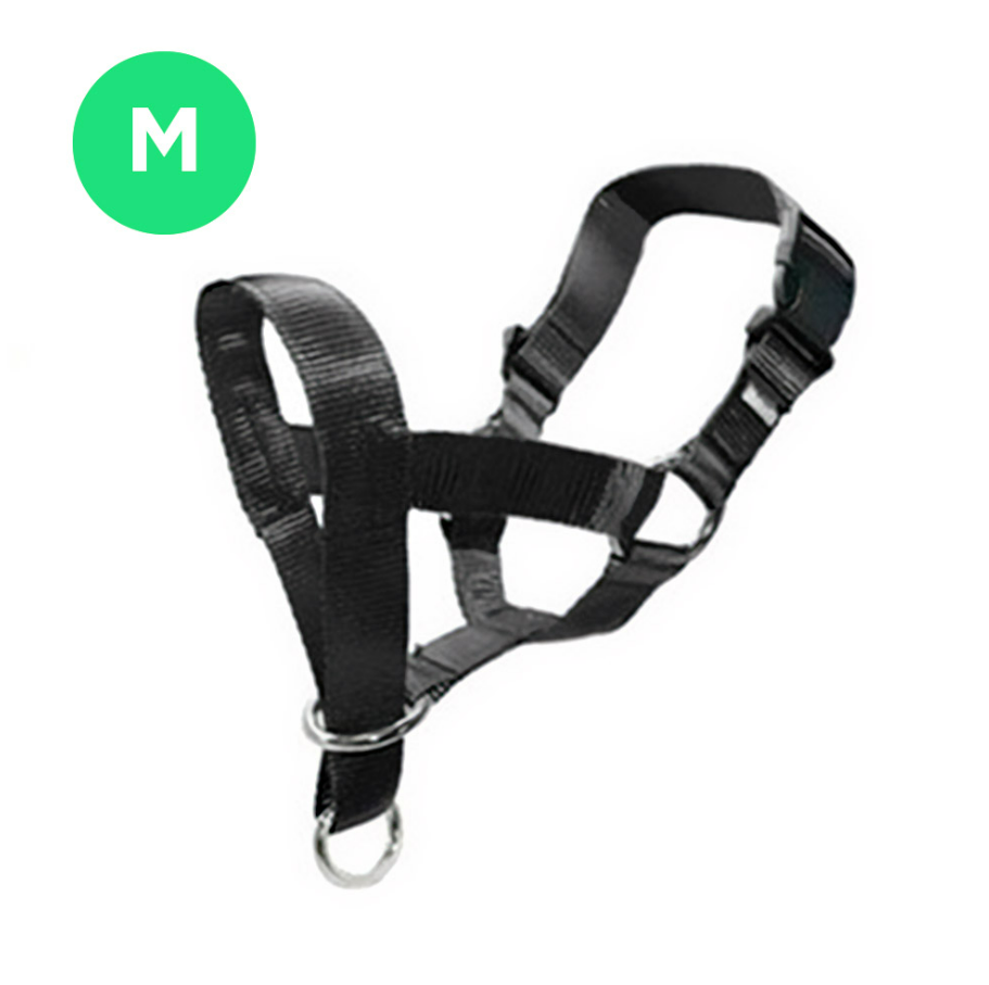 Imagen redimensionada