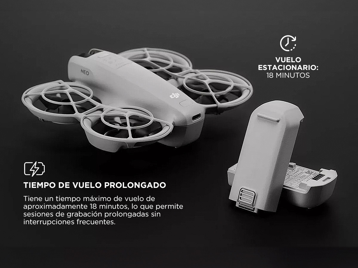 Imagen redimensionada