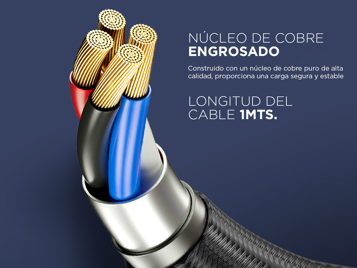 Imagen redimensionada