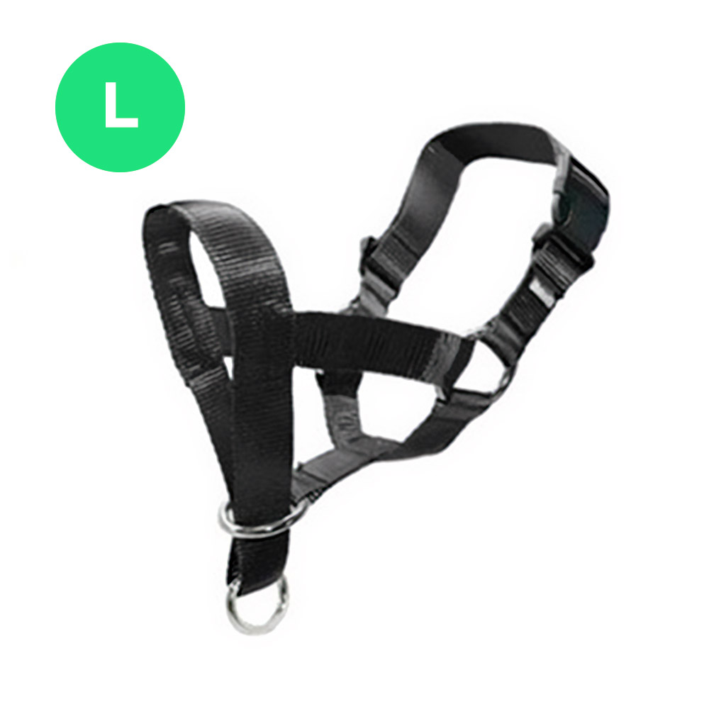 Imagen redimensionada