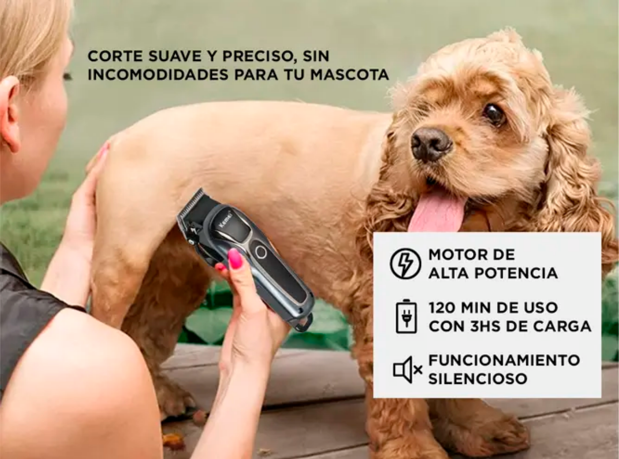 Imagen redimensionada