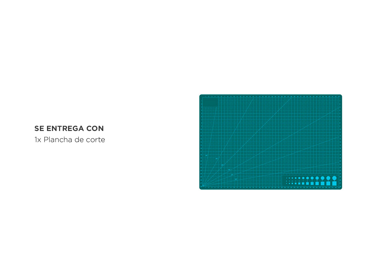 Imagen redimensionada